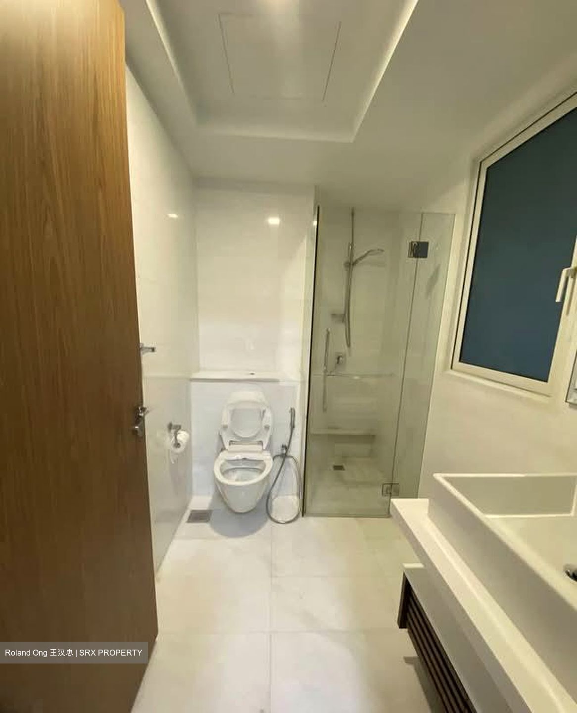 Suites At Orchard (D9), Apartment #550908661